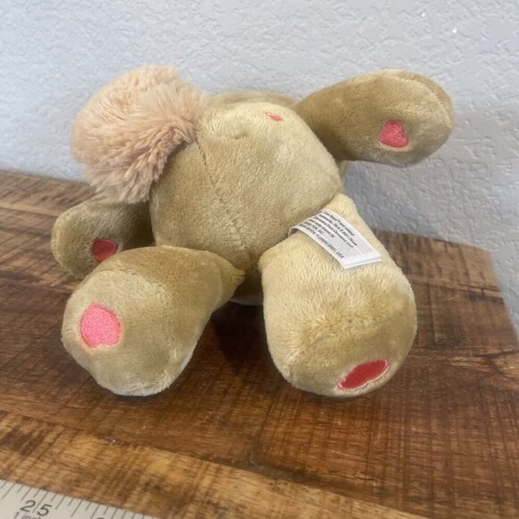 Care Bear Unlock The Magic Love a Lot Plush Removable Hood 12" Squirrel suit - Picture 8 of 10